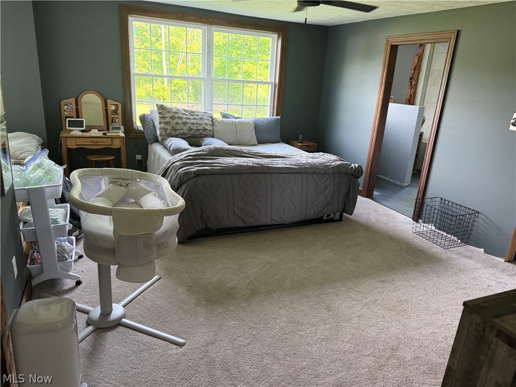 13166 Butternut Road Burton, OH 44021 - Photo 22 of 43