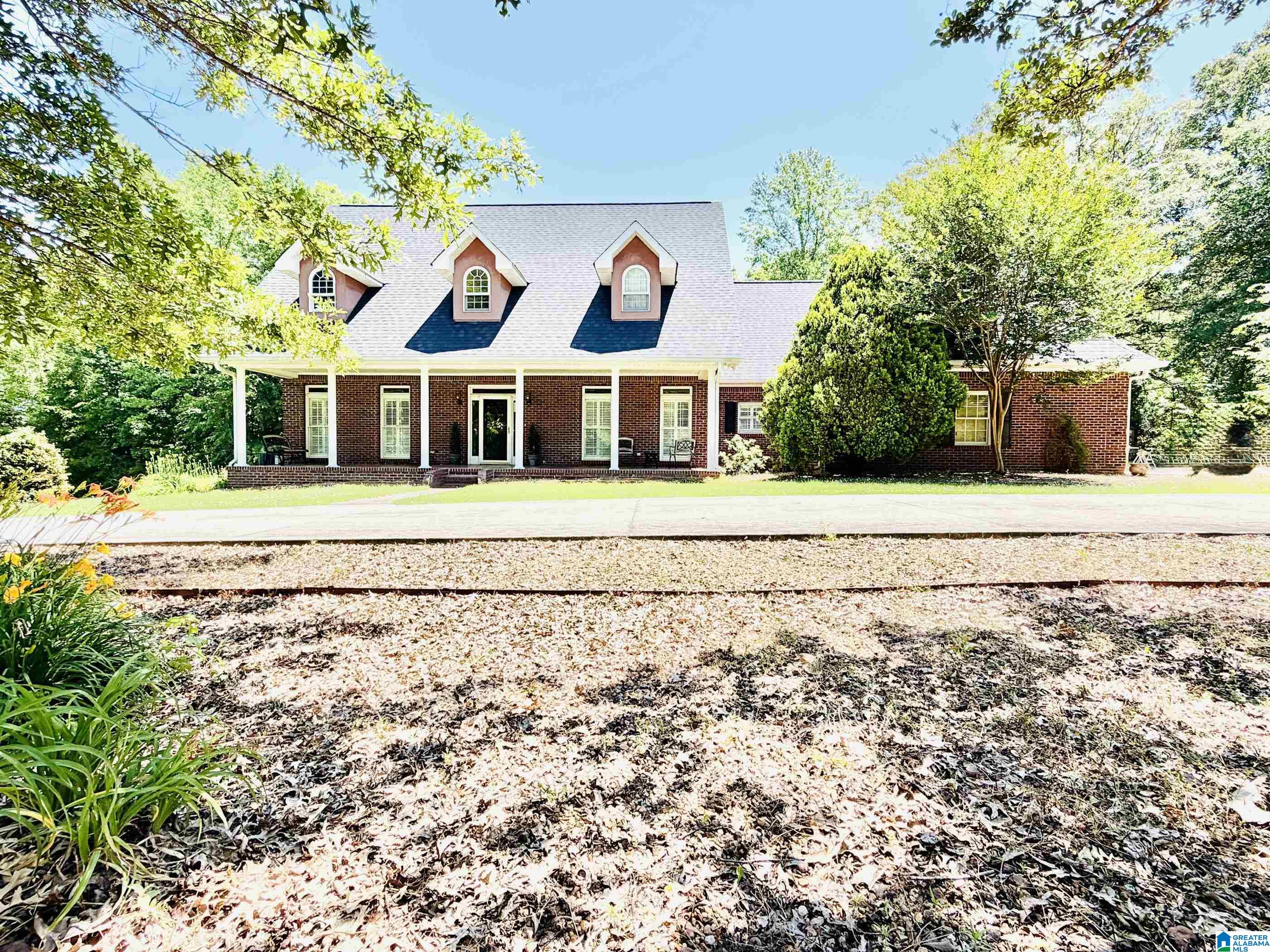1097 Gnatville Road Piedmont, AL 36272 - Photo 2 of 79