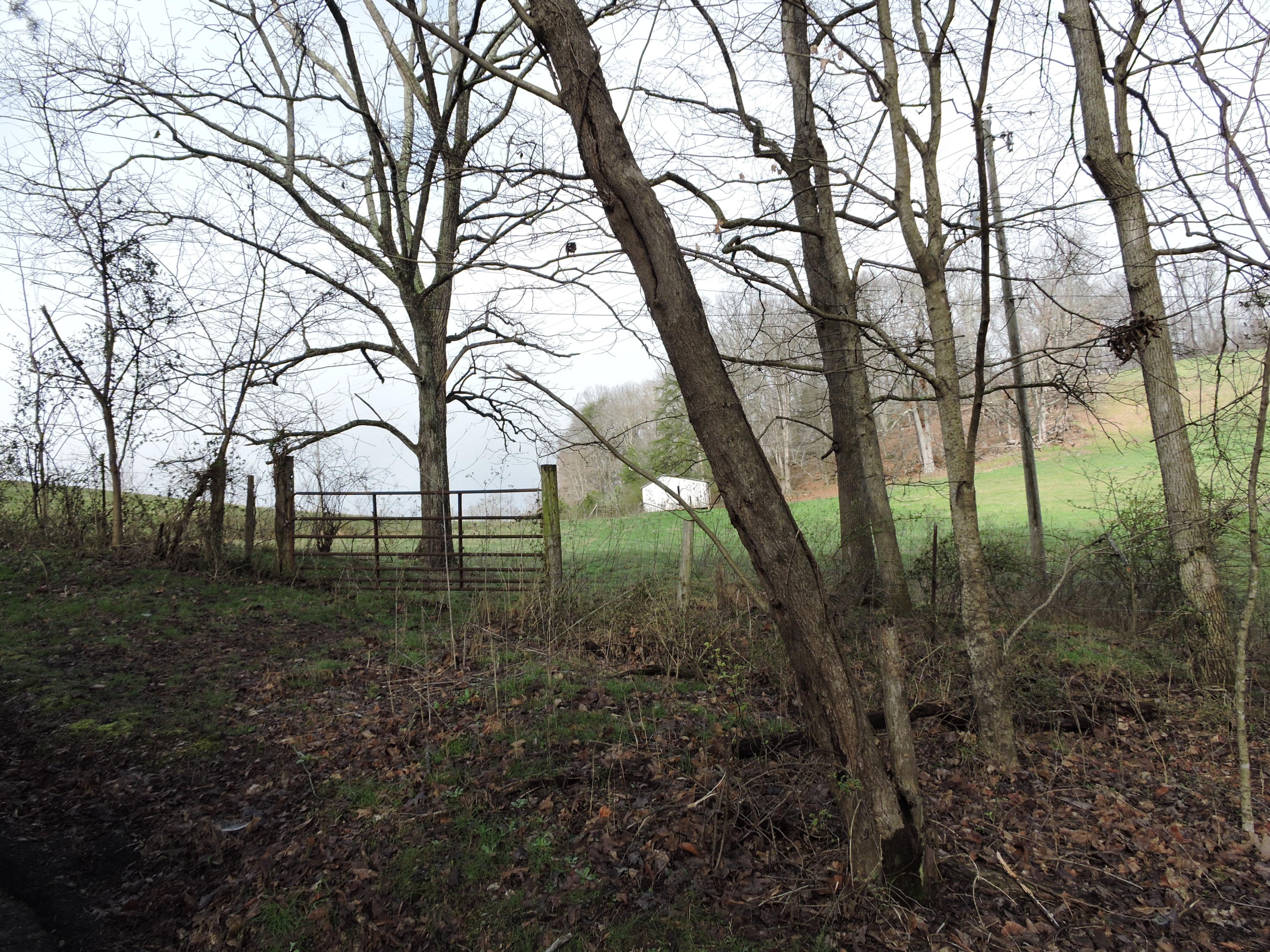 Lot 39 Summers Road Maynardville, TN 37807 - Photo 4 of 4 004