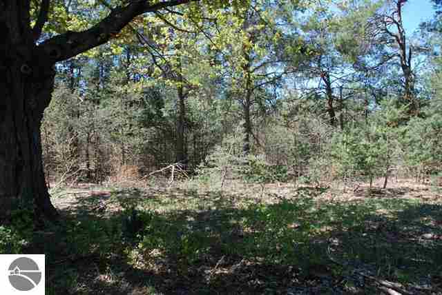 669 Rd Thompsonville Mi 49683 Road Beulah, MI 49617 - Photo 17 of 17
