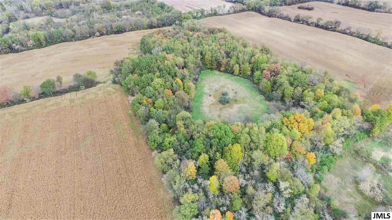 V/l South Dearing Road, Unit 40 ACRES VACANT LAND S DE Spring Arbor, MI 49283 - Photo 14 of 23