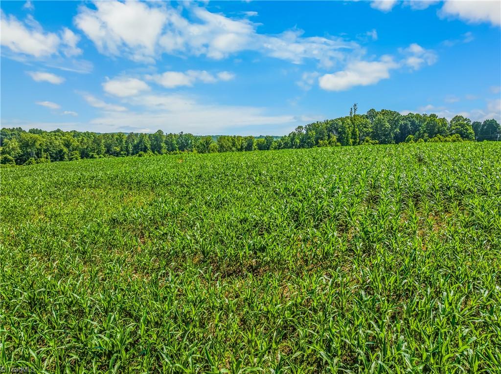 3323 Rockford Road Dobson, NC 27017 - Photo 42 of 49