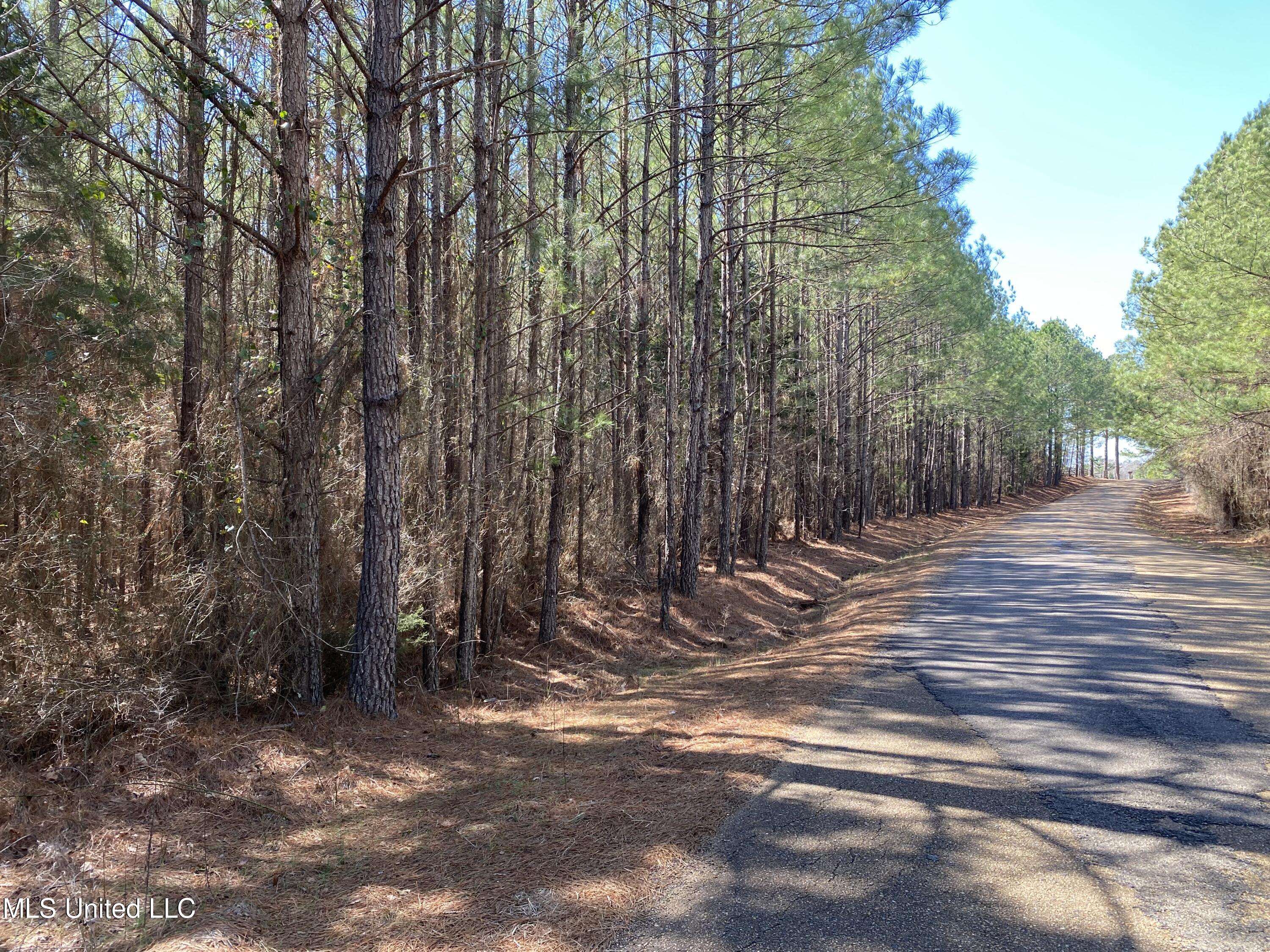 Ridge Road Kosciusko, MS 39090 - Photo 1 of 6 Land