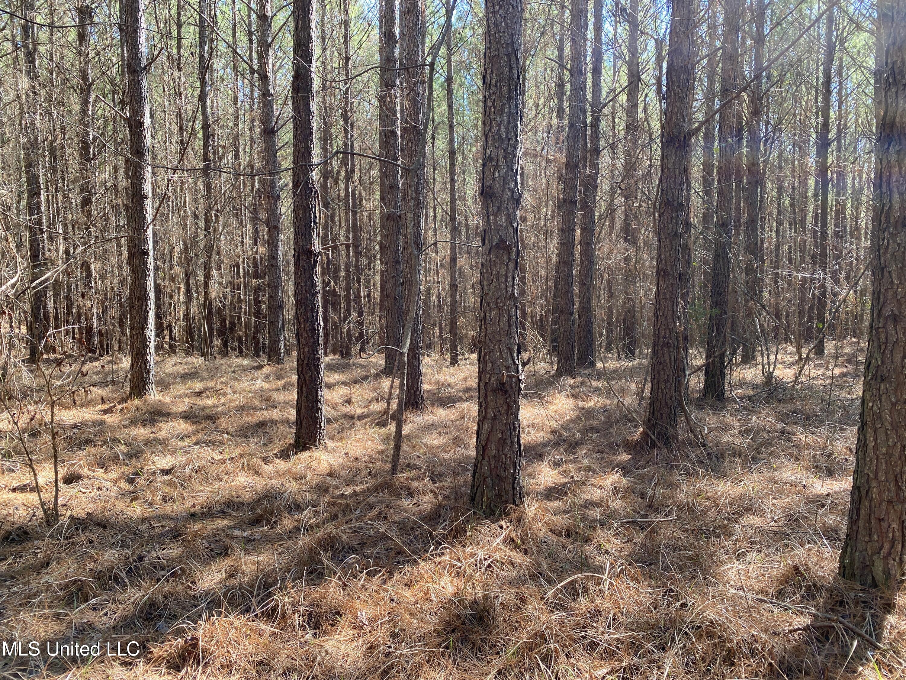 Ridge Road Kosciusko, MS 39090 - Photo 3 of 6 IMG_8821