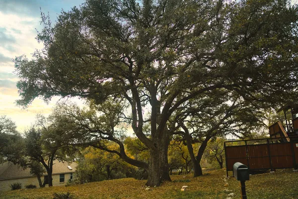 $210,000 | 15505 Enid Drive, Austin, TX 78734