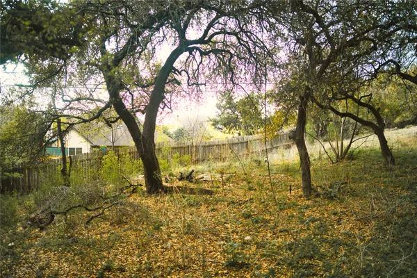 a view of yard with trees