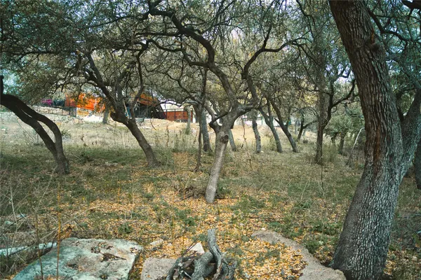 a house is sitting in middle of forest