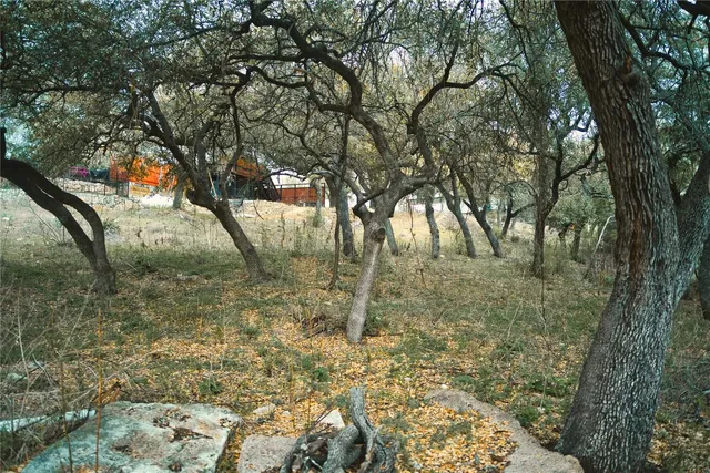 a view of yard covered with trees