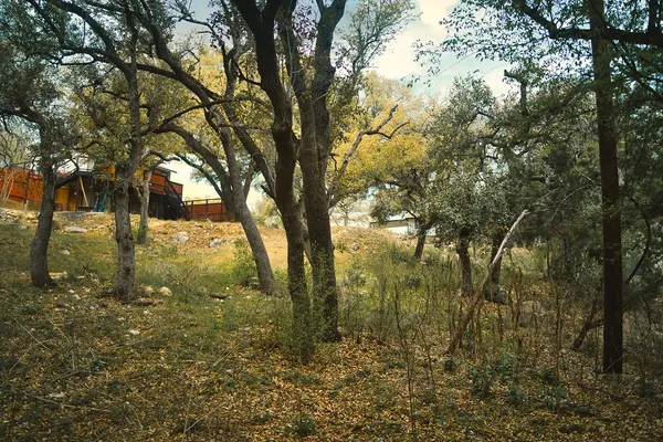 an aerial view of residential house with outdoor space
