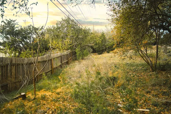 a view of backyard with green space