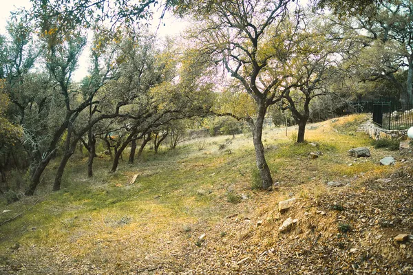 $210,000 | 15505 Enid Drive, Austin, TX 78734