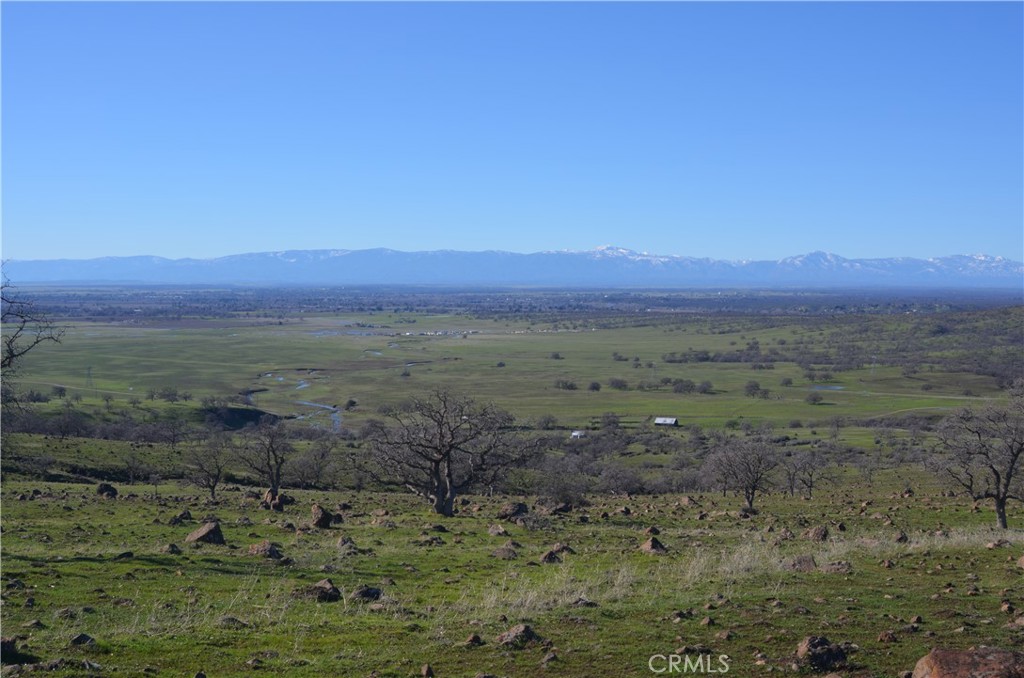 a view of an outdoor space