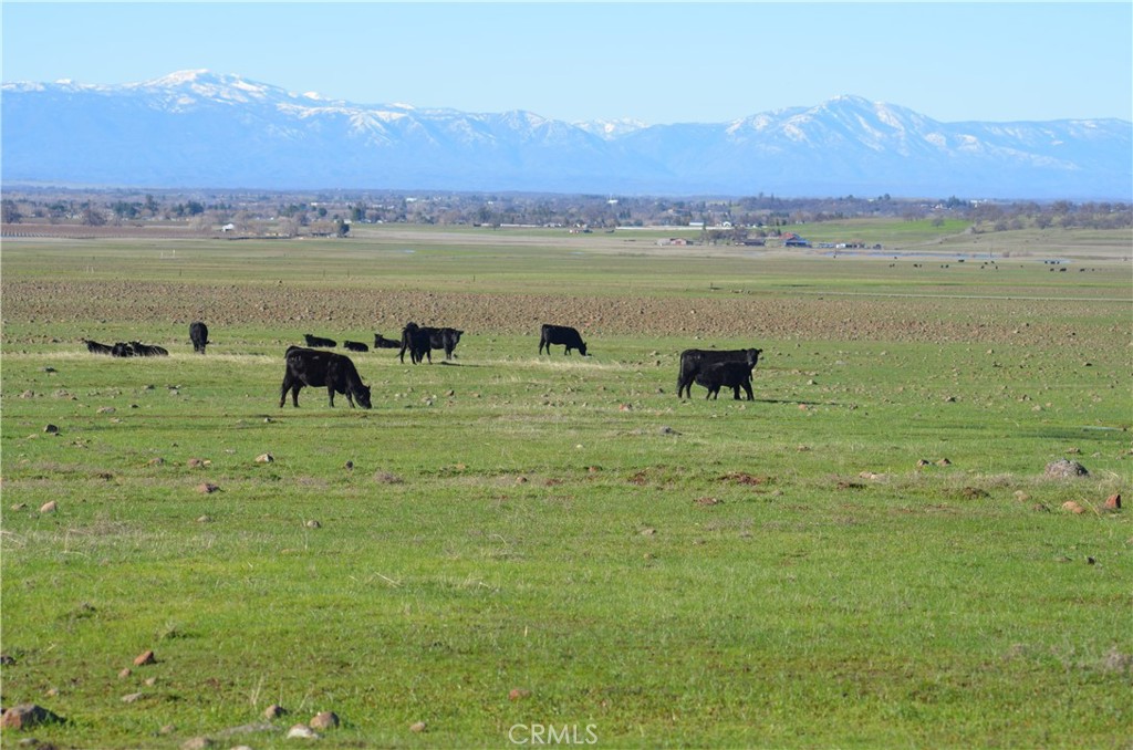 0 Tuscan Springs Road Red Bluff, CA 96080 - Photo 2 of 23 a view of a lake with a mountain