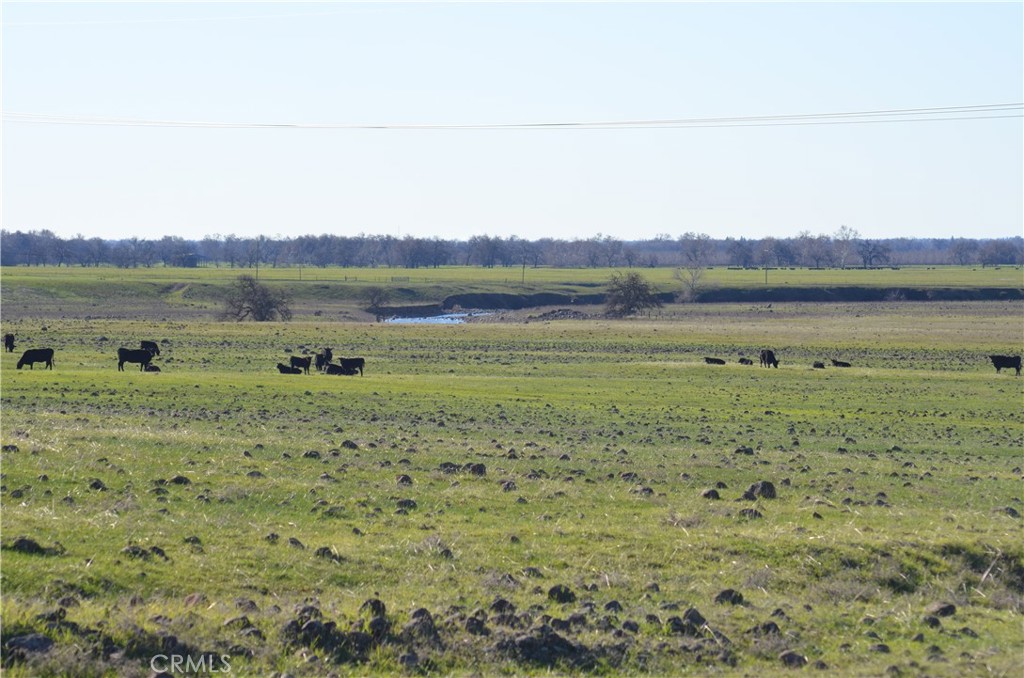 0 Tuscan Springs Road Red Bluff, CA 96080 - Photo 3 of 23 a view of lake with mountain view