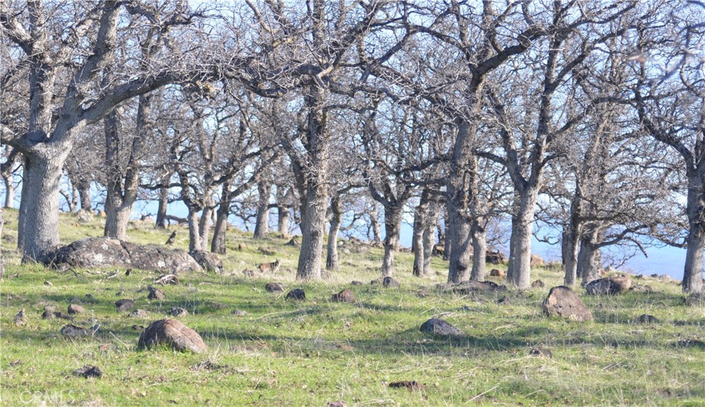 0 Tuscan Springs Road Red Bluff, CA 96080 - Photo 7 of 23 a view of yard with trees