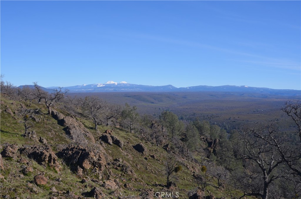 0 Tuscan Springs Road Red Bluff, CA 96080 - Photo 9 of 23 a view of a dry field