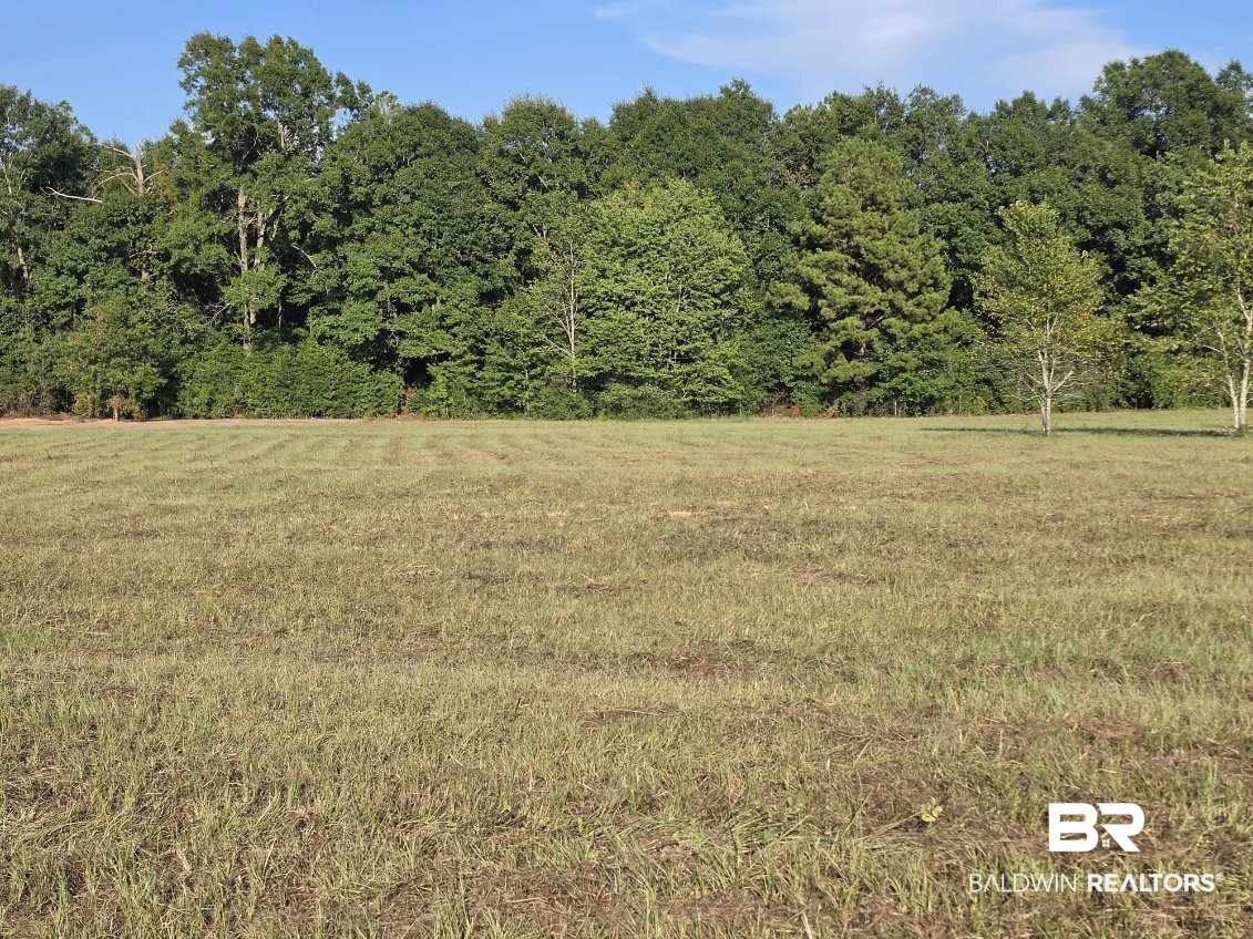 0 Williams Lane Atmore, AL 36502 - Photo 3 of 3 Gallery Image 3
