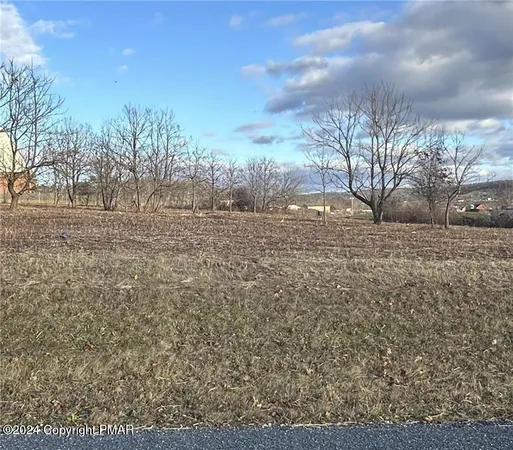 a view of dirt field and trees