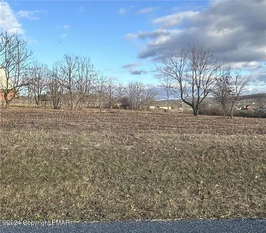 a view of dirt field and trees