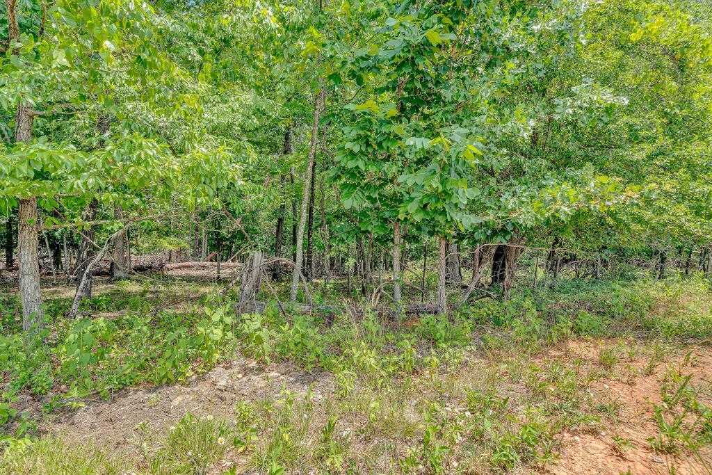 0 Ivyland Road Roanoke, VA 24014 - Photo 11 of 15 IMG_0200