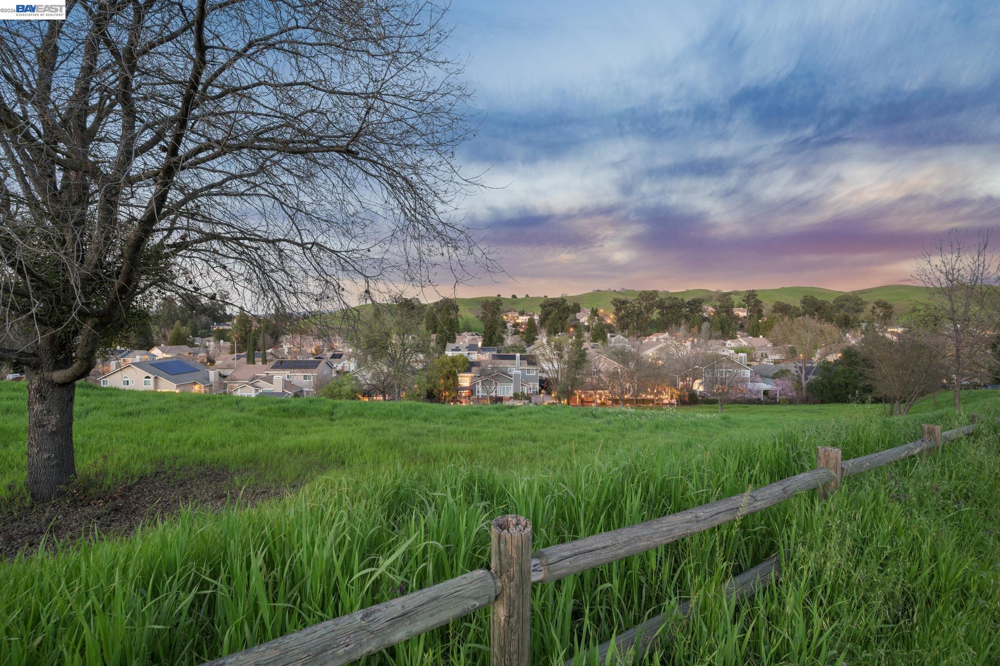 1039 Hopkins Way Pleasanton, CA 94566 - Photo 11 of 12