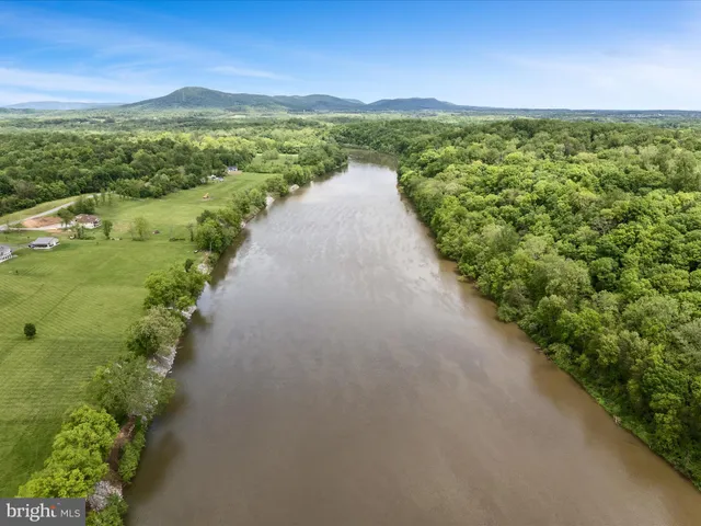 a view of a lush green forest with a houses