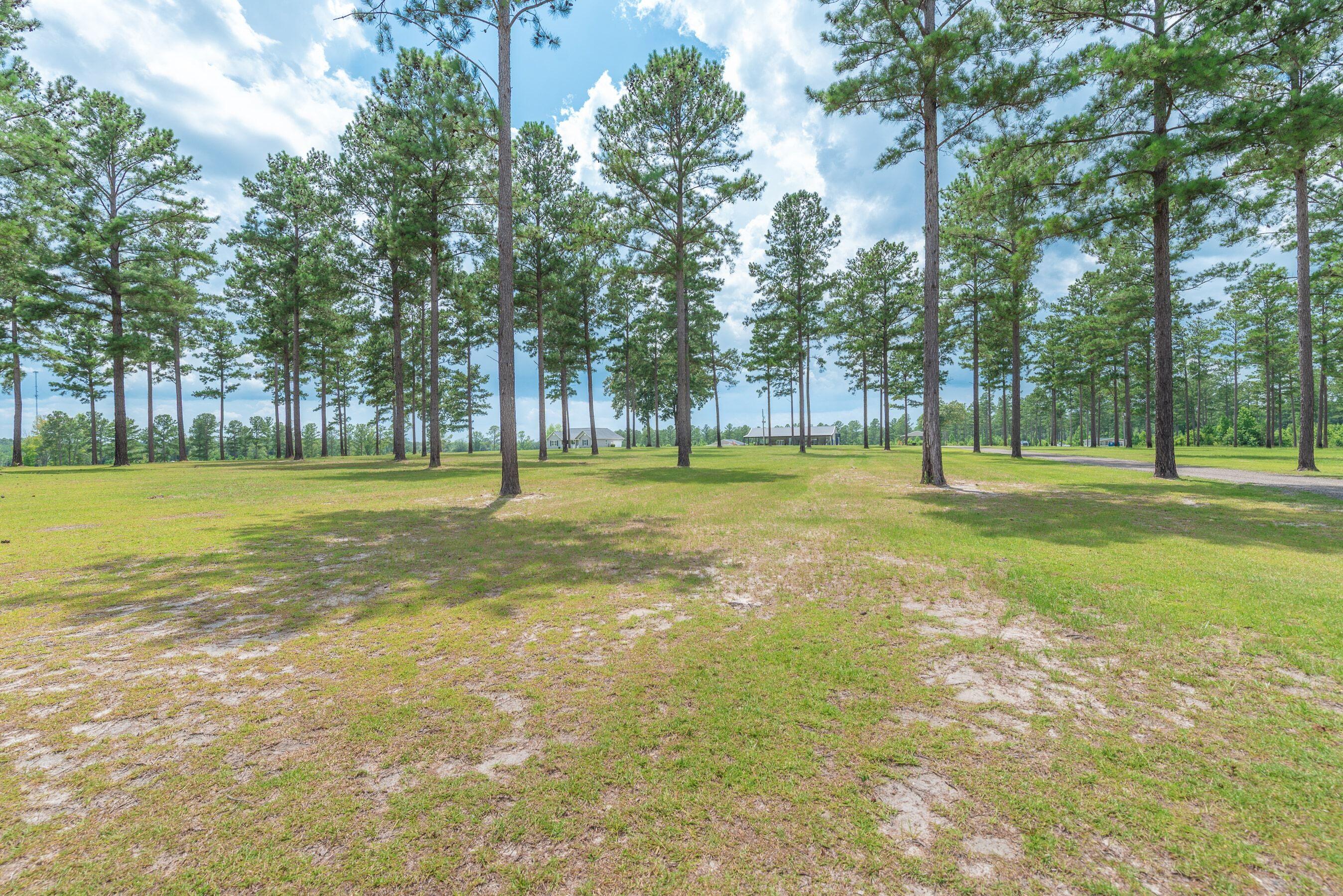 2650 State Rd S-6-54 Barnwell, SC 29812 - Photo 73 of 80
