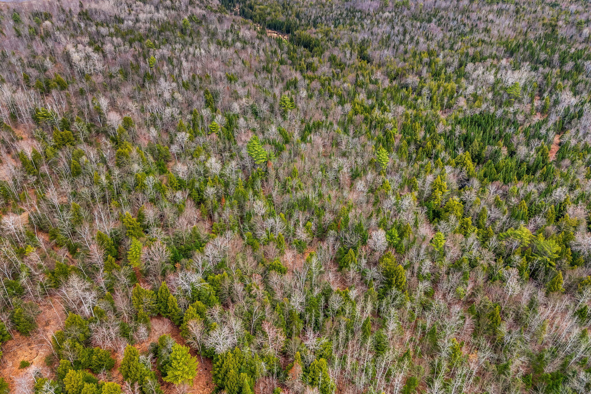 M9-l39 Mainstream Road Harmony, ME 04942 - Photo 17 of 22