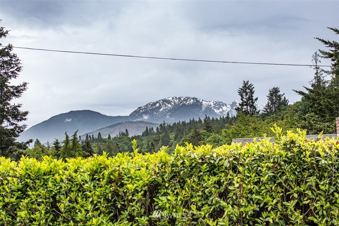 22 South Ridge View Drive Port Angeles, WA 98362 - Photo 14 of 40 Gallery Image 14