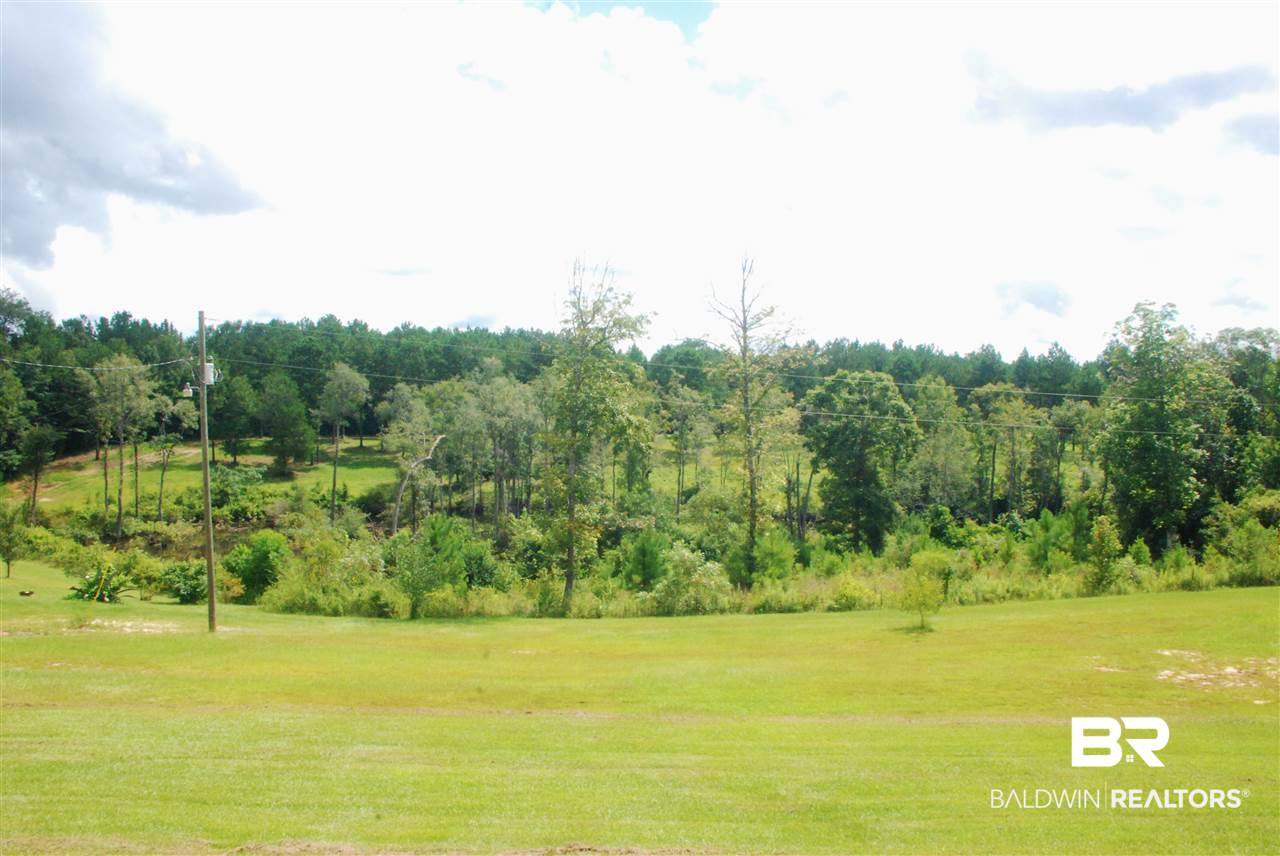 249 Camp Dixon Road Brewton, AL 36426 - Photo 23 of 48
