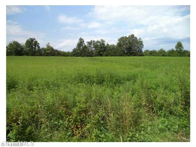 15-ac Happy Home School Road Ruffin, NC 27326 - Photo 1 of 4 Other.