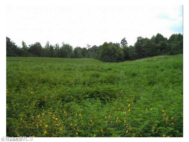 15-ac Happy Home School Road Ruffin, NC 27326 - Photo 3 of 4 Other.