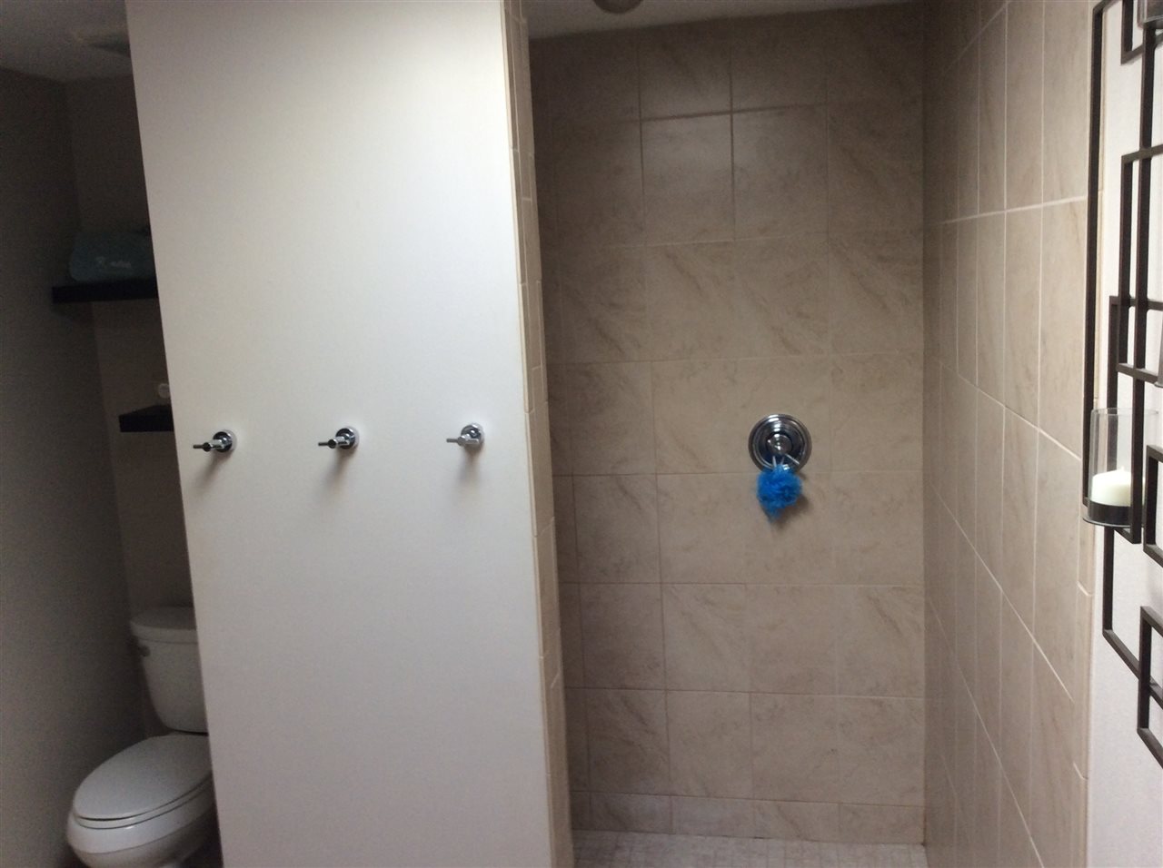 7169 Sentinel Road Rockford, IL 61107 - Photo 15 of 25 a bathroom with a shower