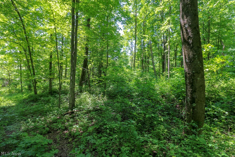 Hines Ridge Rd Port Port Washington, OH 43837 - Photo 31 of 35 Gallery Image 31