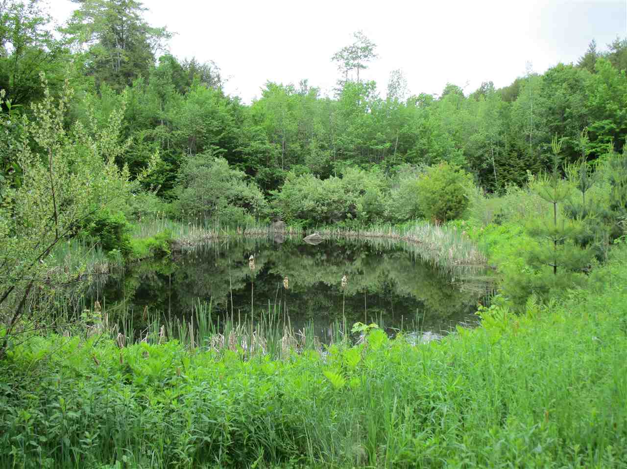35 Southgate Road Newbury, NH 03255 - Photo 10 of 35