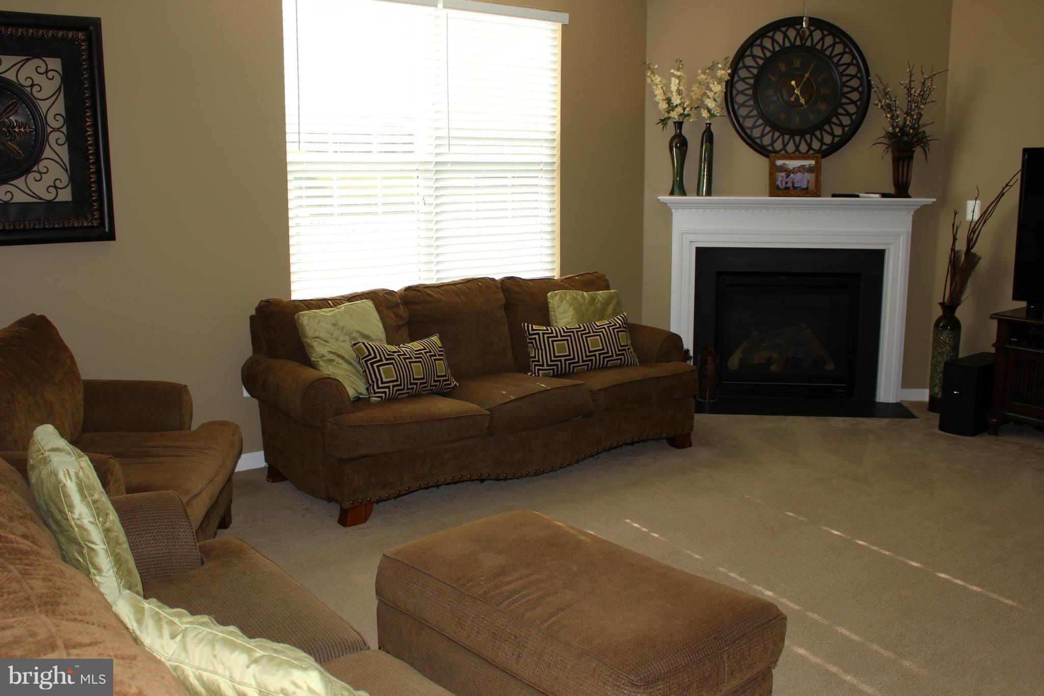 43 Trail Ridge Lane Fredericksburg, VA 22405 - Photo 6 of 10 Family Room with Gas Log Fireplace