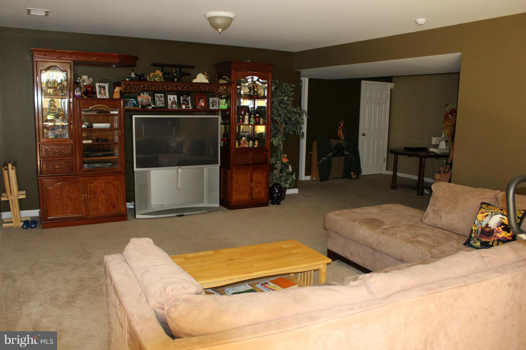43 Trail Ridge Lane Fredericksburg, VA 22405 - Photo 10 of 10 Basement Rec Room