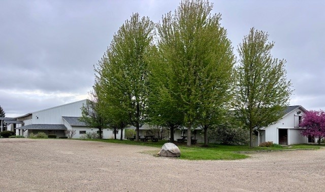 a view of a house with a yard and tree s