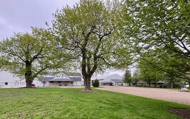 41955 North Mill Creek Road Wadsworth, IL 60083 - Photo 2 of 9 a trees in the garden in front of a house