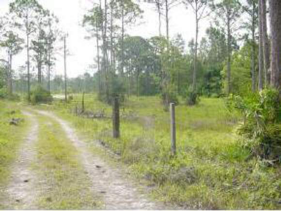 1470 Friday Road Cocoa, FL 32926 - Photo 1 of 4 Primary Photo