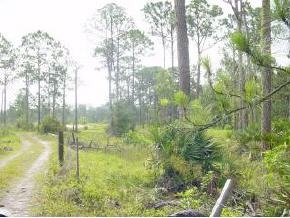 1470 Friday Road Cocoa, FL 32926 - Photo 2 of 4 Additional Photo