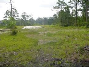 1470 Friday Road Cocoa, FL 32926 - Photo 4 of 4 Additional Photo