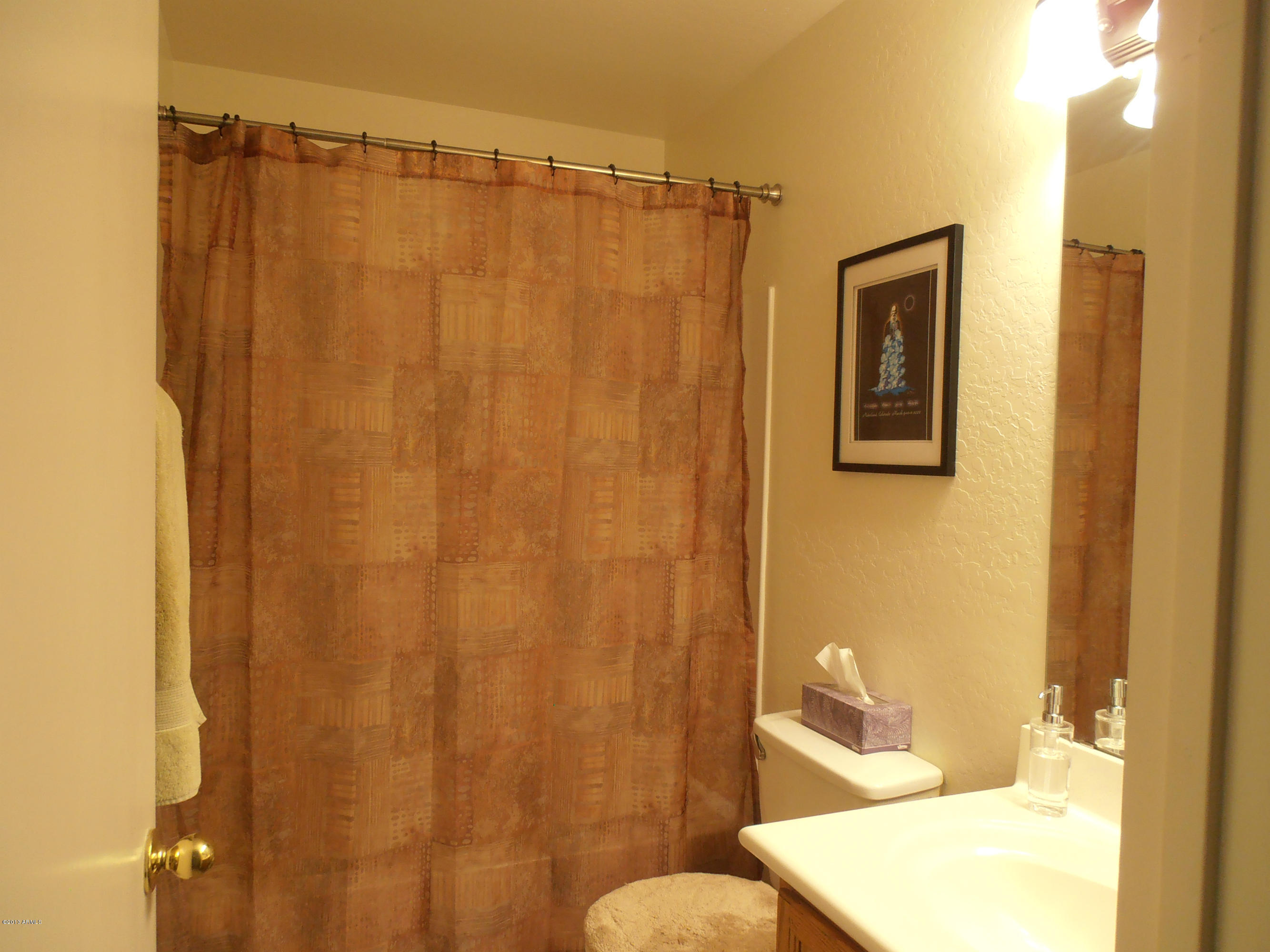 16144 West Calavar Road Surprise, AZ 85379 - Photo 6 of 9 Bath