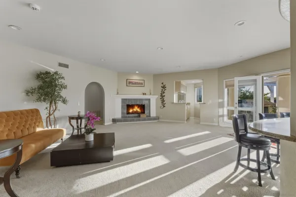 a living room with furniture a fireplace and a potted plant