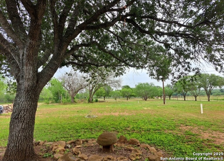 673 Zigmont Road San Antonio, TX 78263 - Photo 10 of 14 a view of a garden with a tree
