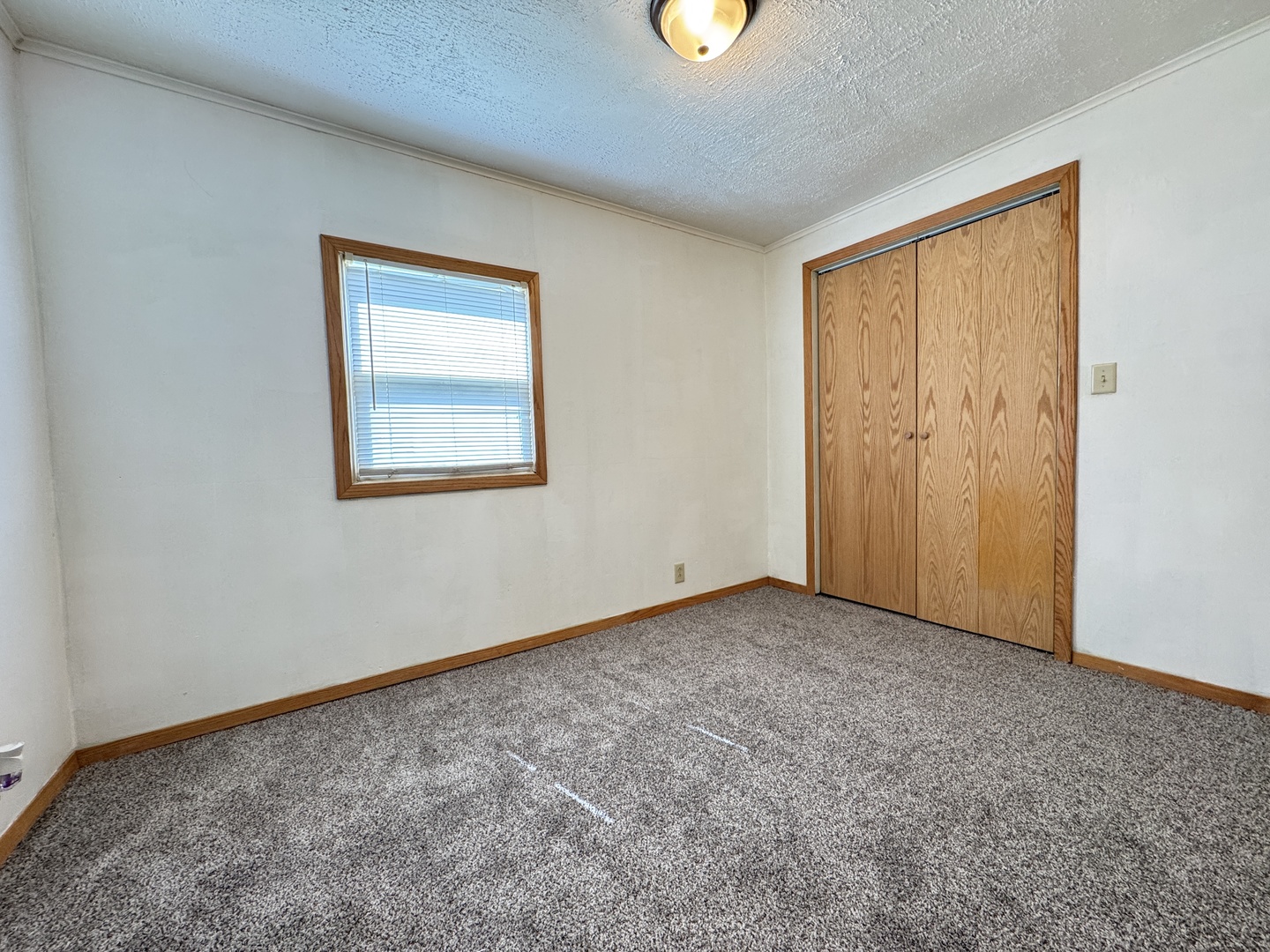 224 West 2nd Place Spring Valley, IL 61362 - Photo 10 of 31