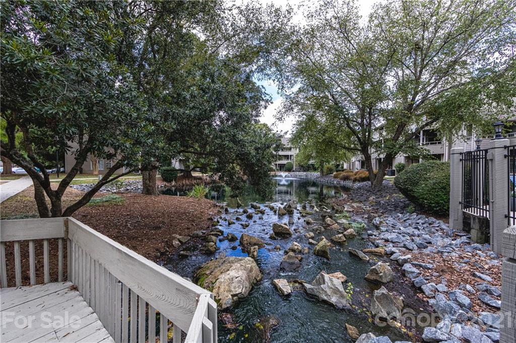 2539 Stockbridge Drive, Unit A Charlotte, NC 28210 - Photo 19 of 21 a view of a yard with plants and trees