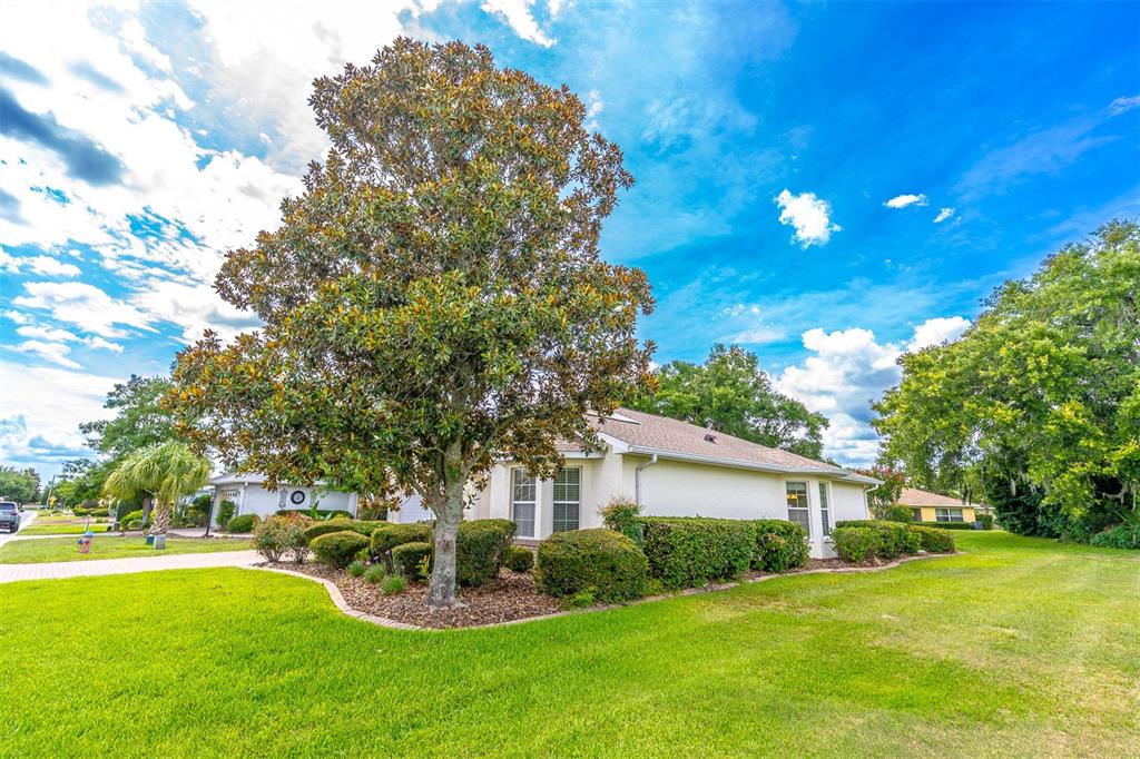 8722 Southwest 83rd Loop Ocala, FL 34481 - Photo 37 of 62