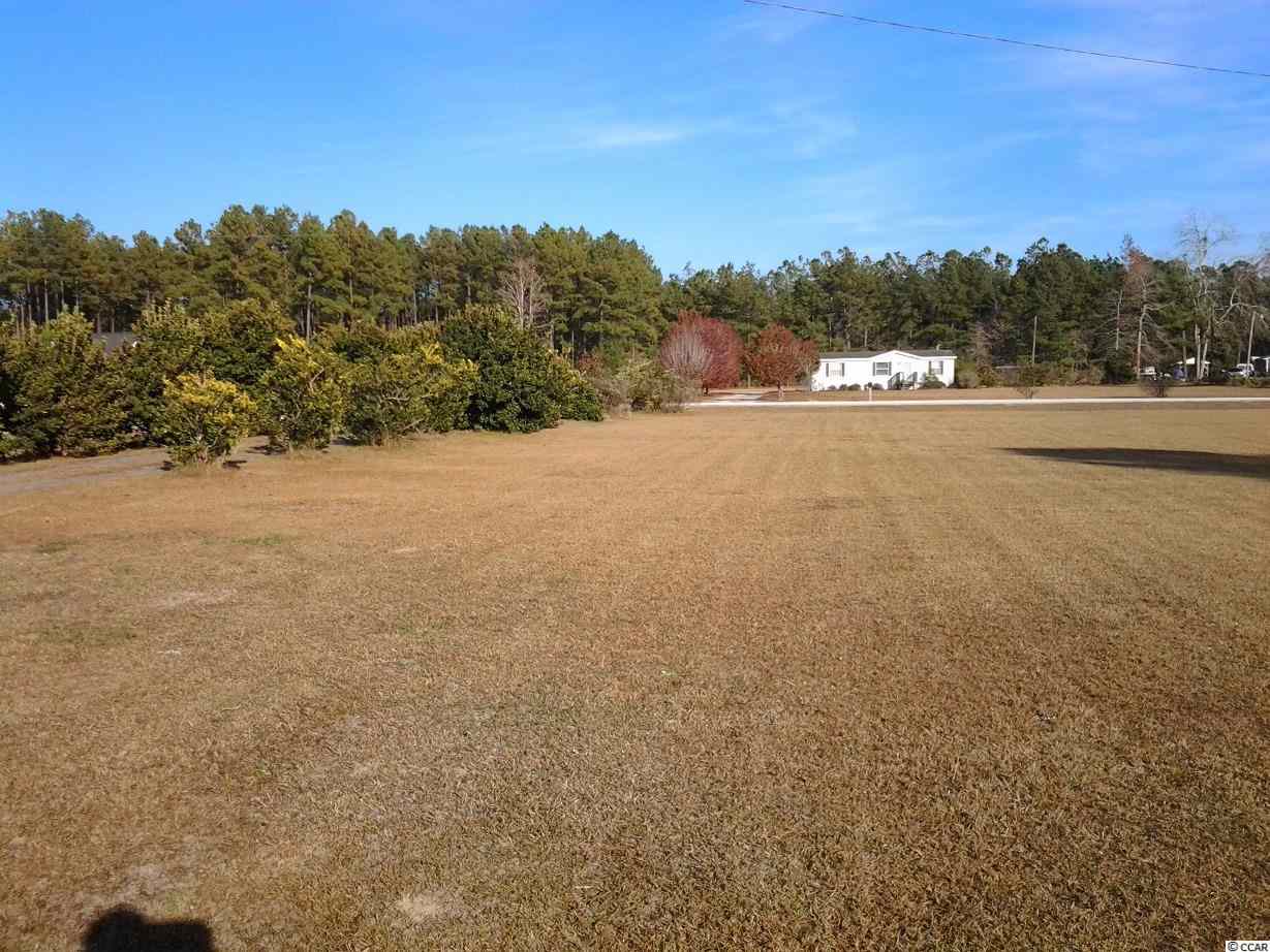 4754 North Pawley Road Conway, SC 29527 - Photo 11 of 14