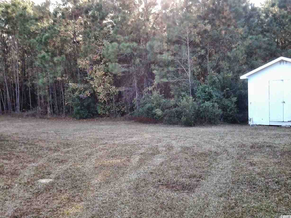 4754 North Pawley Road Conway, SC 29527 - Photo 13 of 14